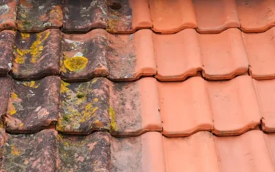 Rengöra takpannor på rätt sätt – för ett hållbart tak
